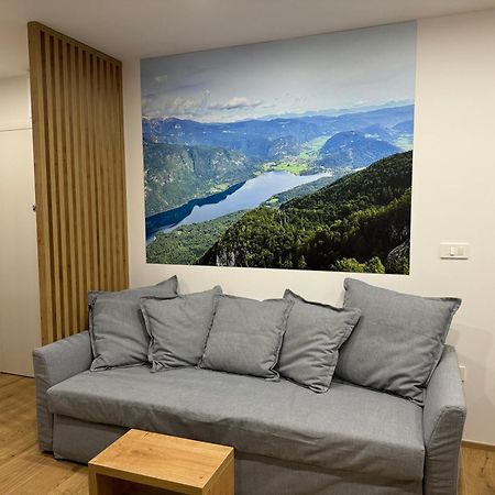 Apartma Tisa Bohinj Extérieur photo
