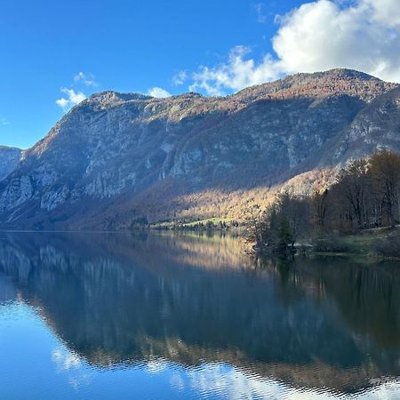 Apartma Tisa Bohinj Extérieur photo