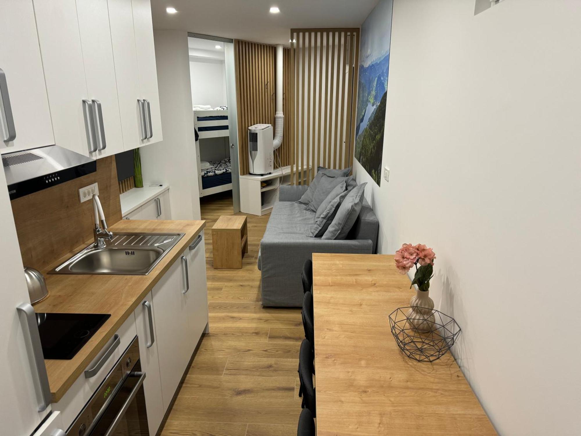 Apartma Tisa Bohinj Extérieur photo