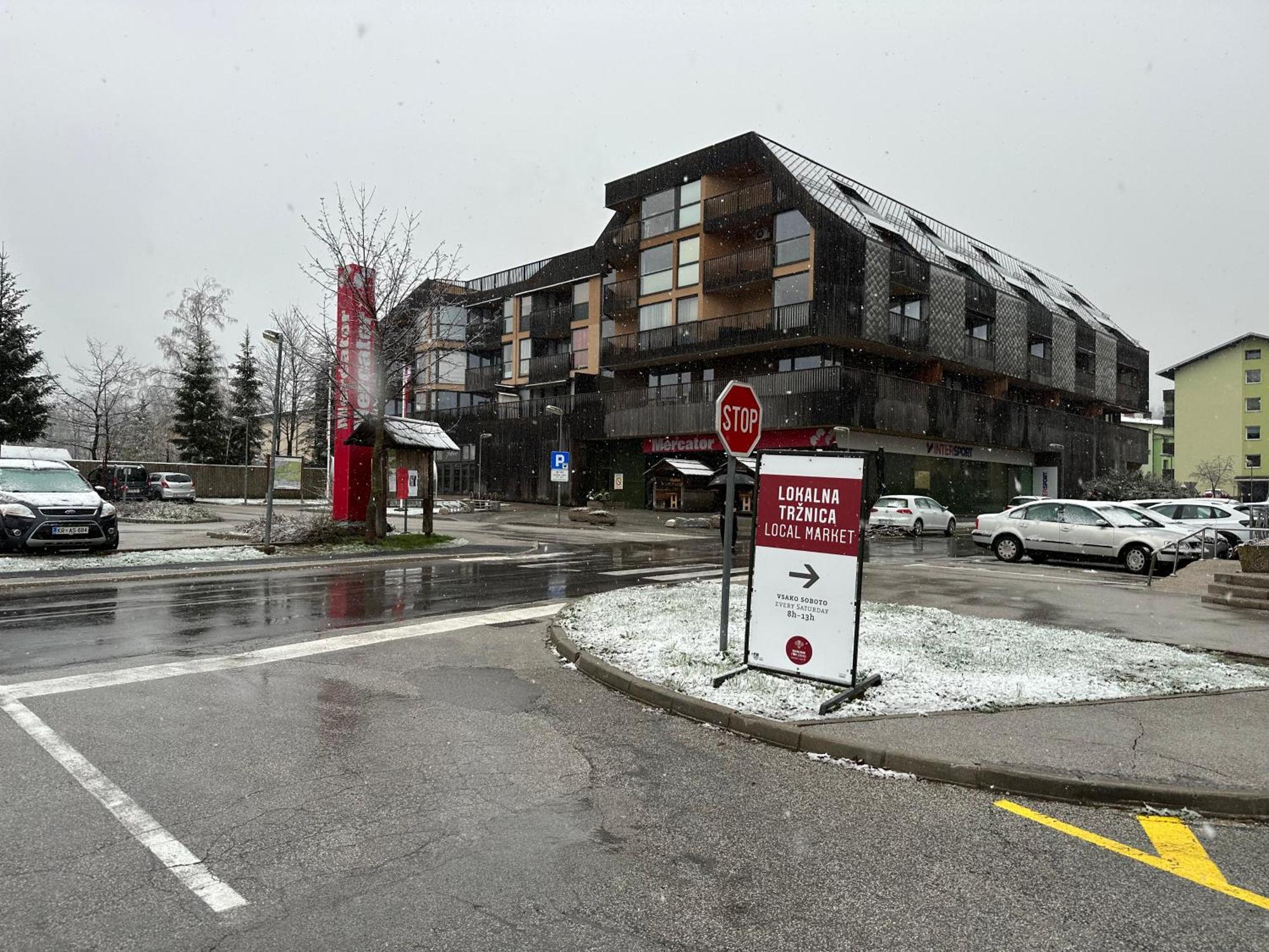 Apartma Tisa Bohinj Extérieur photo