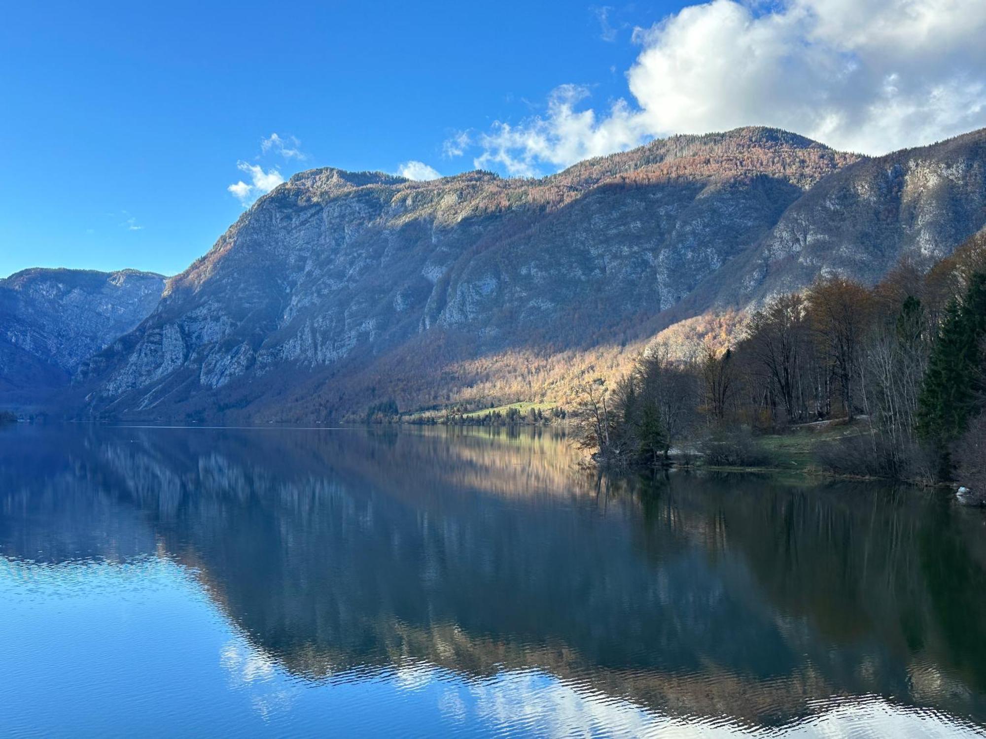 Apartma Tisa Bohinj Extérieur photo